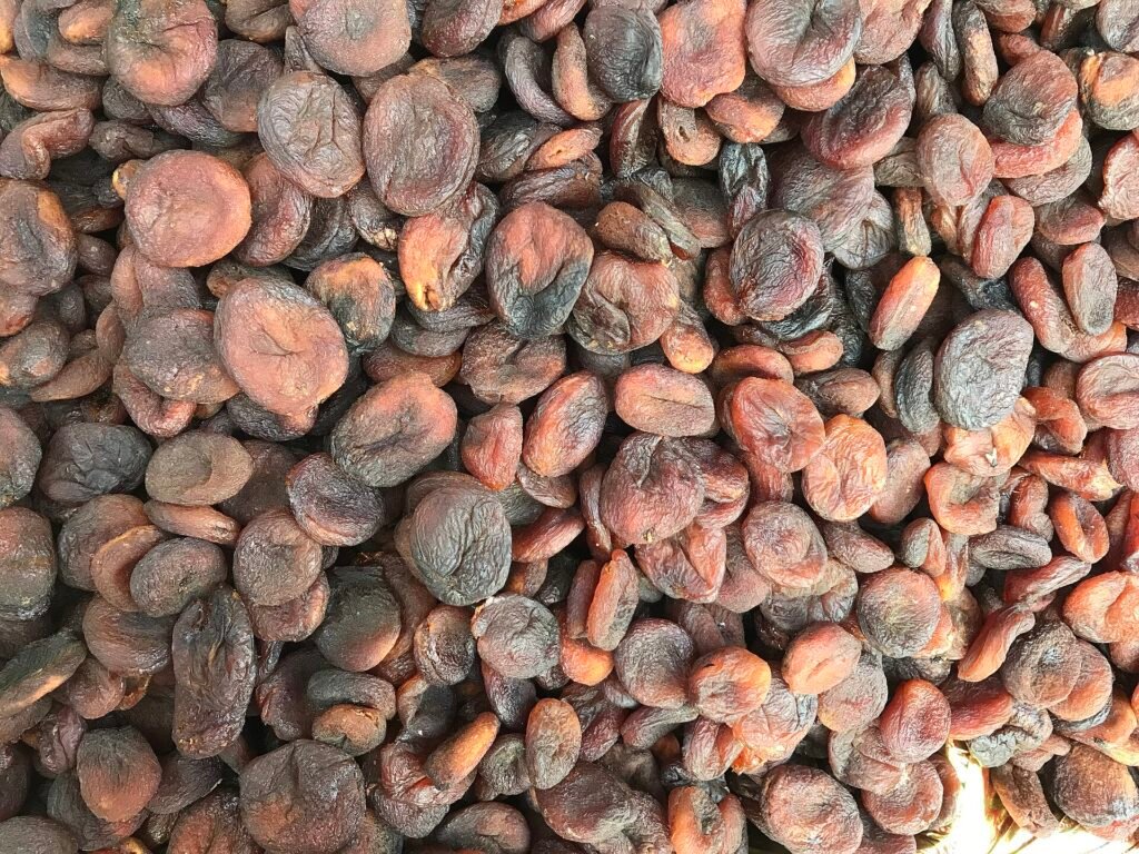 Malatya kuru kayısısı